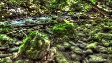 岩石上的苔藓森林溪流HDR<strong>时间推移</strong>拍摄机动滑块